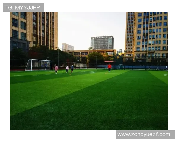 青少年如何通过科学训练与坚持不懈努力逐步成长为闪耀绿茵场的足球明星